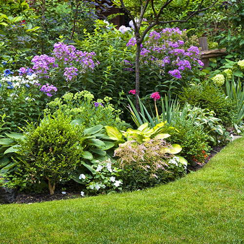 Flower Beds