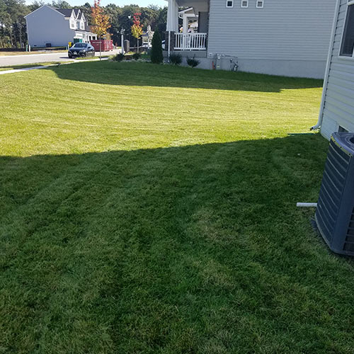 Lawn Mowing